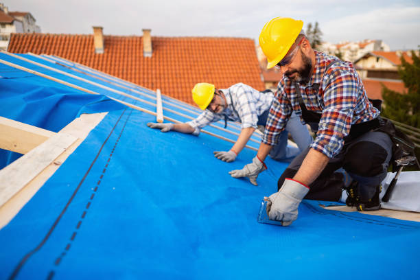 Best Roof Insulation Installation  in El Paso De Robles, CA